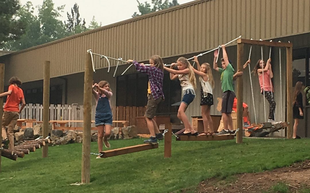 Brand New Natural Playscape